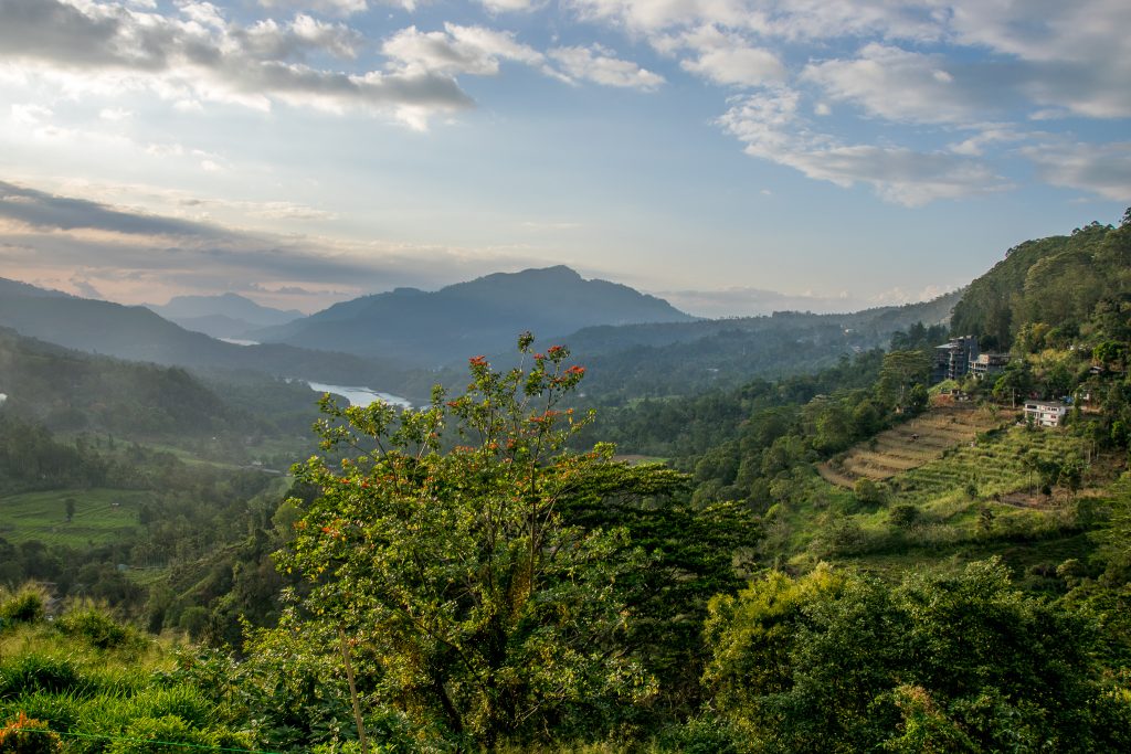 krajobraz Sri Lanka 