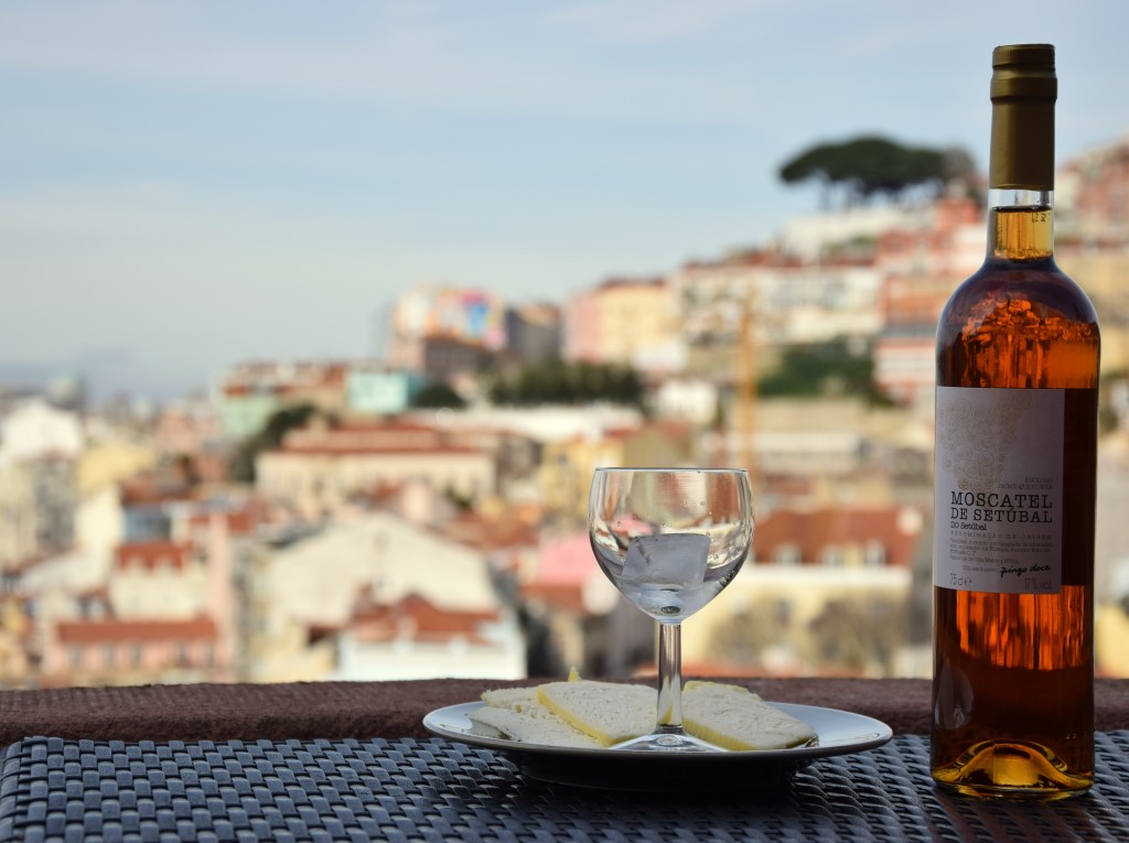 This is Lisbon hostel - moscatel de setubal