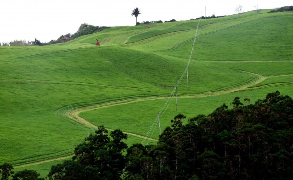 Sao Miguel
