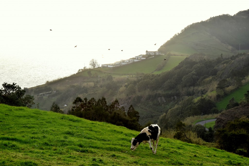 Sao Miguel