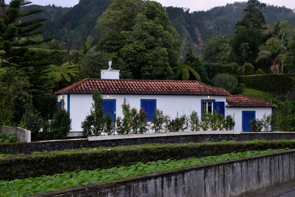 Sao Miguel