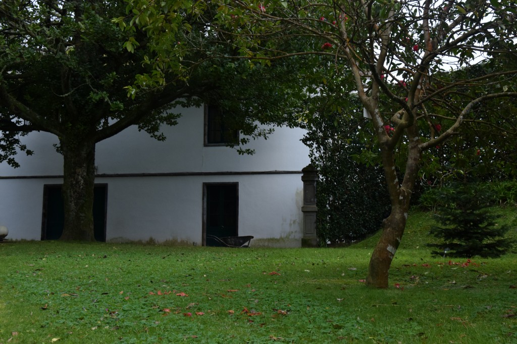Sao Miguel